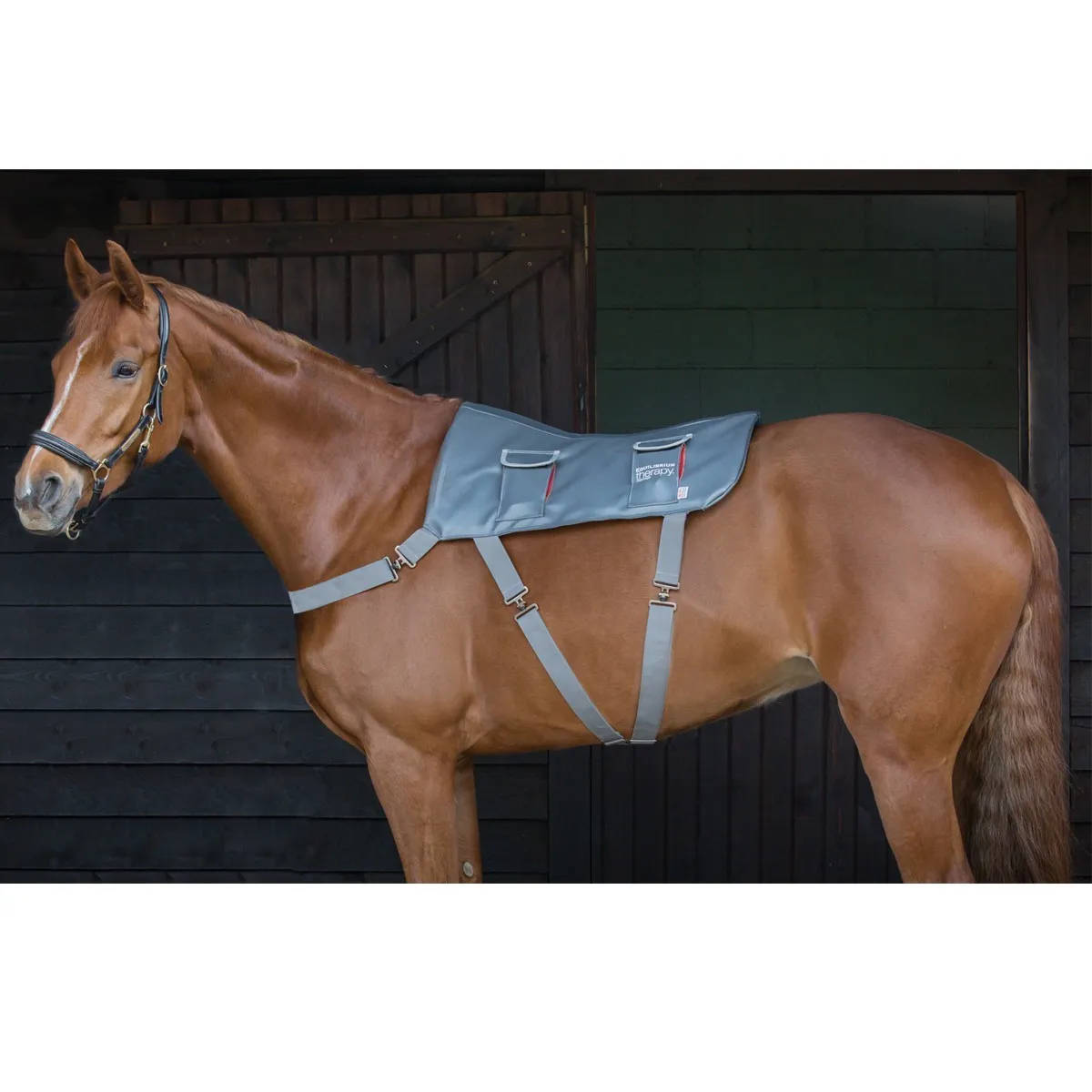 Achetez le Tapis de massage Equilibrium pour chevaux sur Equi-Clic