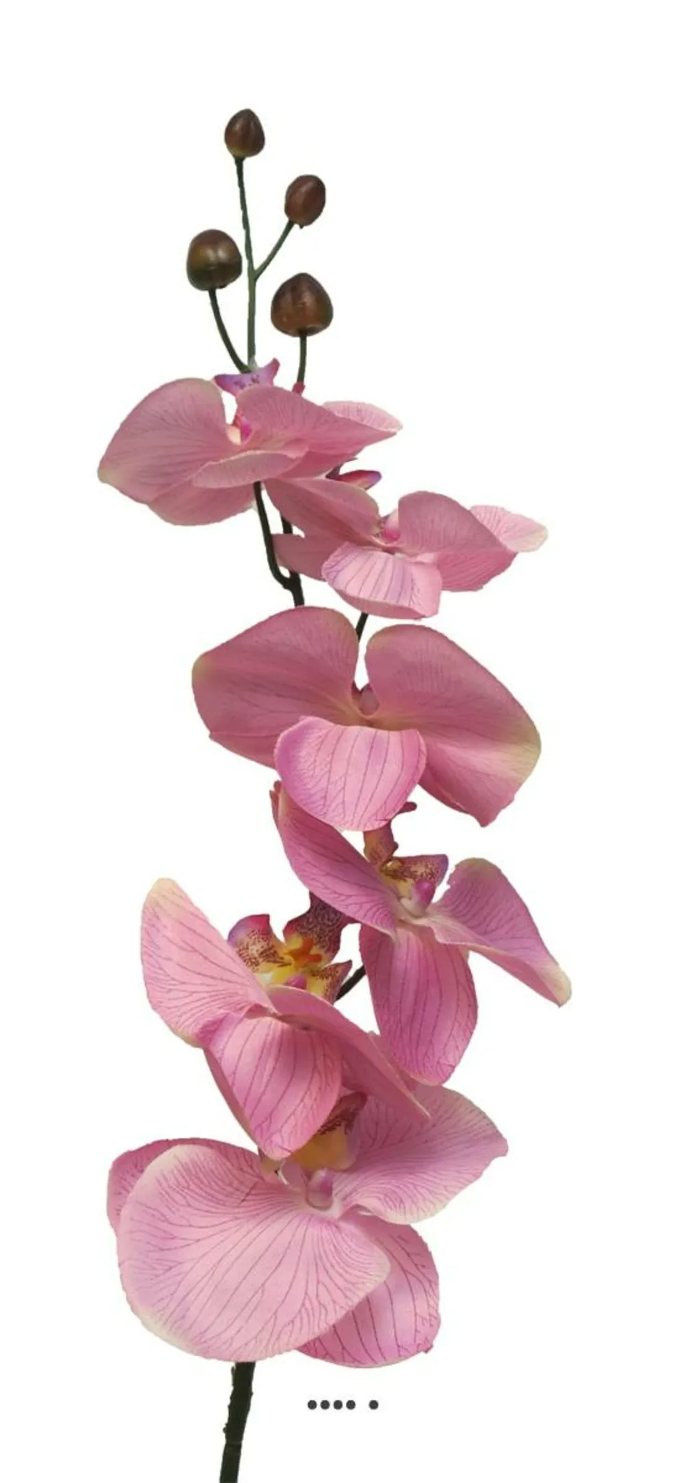 Tige d’orchidée phalaenopsis artificielle, h 78 cm rose - best - couleur: